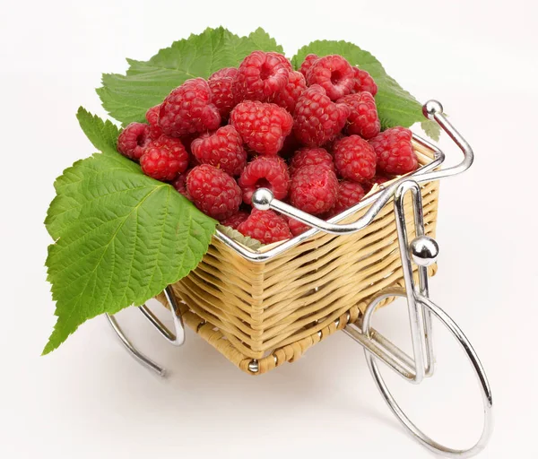 Decorative Bicycle Raspberry — Stock Photo, Image