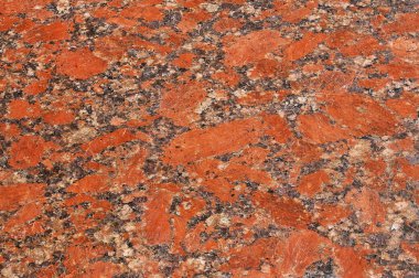 Granit kaya liken birçok renk, boyut ve formları ve moss, en iyi görünümü ile kaplı. Crustose ve foliose liken farklı türleri. Thallus, biyolojik toprak kabuk