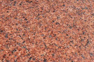 Granit kaya liken birçok renk, boyut ve formları ve moss, en iyi görünümü ile kaplı. Crustose ve foliose liken farklı türleri. Thallus, biyolojik toprak kabuk