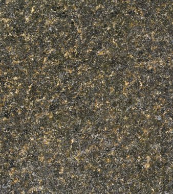 Granit kaya liken birçok renk, boyut ve formları ve moss, en iyi görünümü ile kaplı. Crustose ve foliose liken farklı türleri. Thallus, biyolojik toprak kabuk