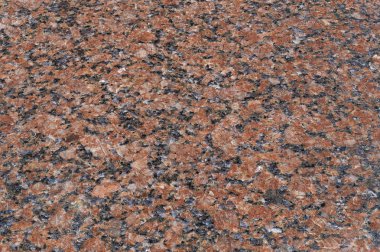 Granit kaya liken birçok renk, boyut ve formları ve moss, en iyi görünümü ile kaplı. Crustose ve foliose liken farklı türleri. Thallus, biyolojik toprak kabuk