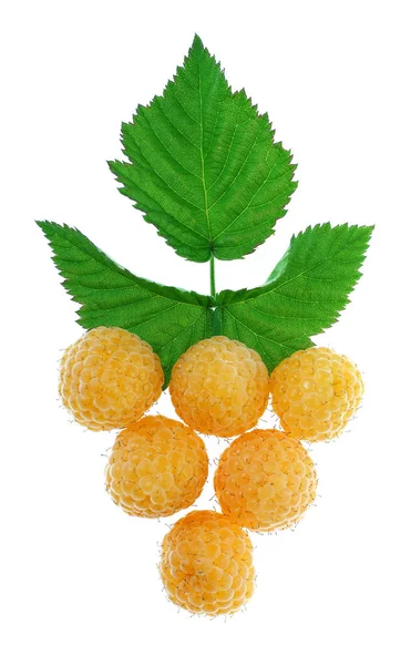 Owoce Żółte Maliny Zielonych Liści Białym Tle — Zdjęcie stockowe