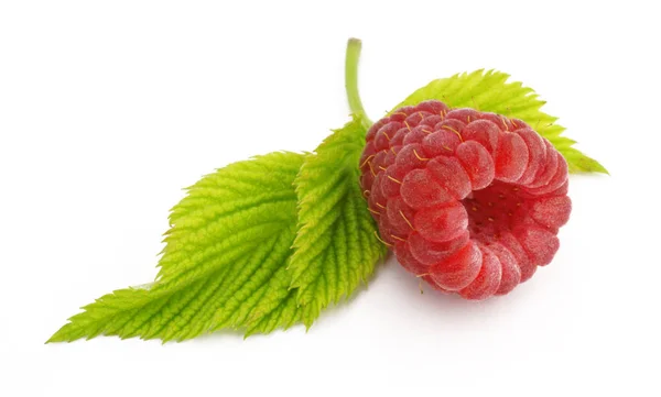 Berry Frambozen Witte Achtergrond — Stockfoto