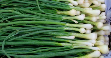 Sergilenen soğanlı yeşil soğan