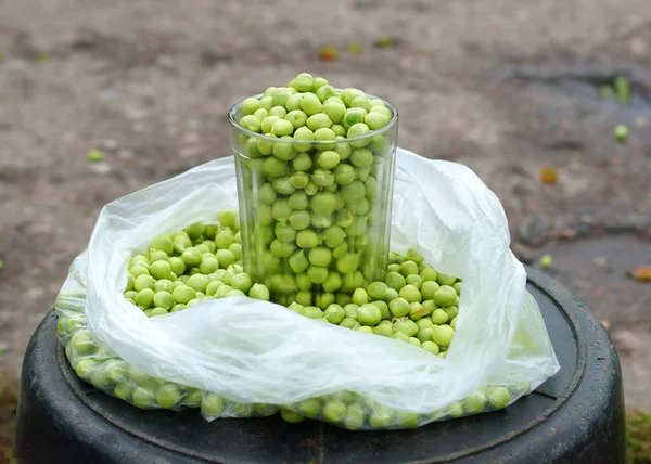 green pea pod, green peas,food, healthy, vegetarian, nature, organic,