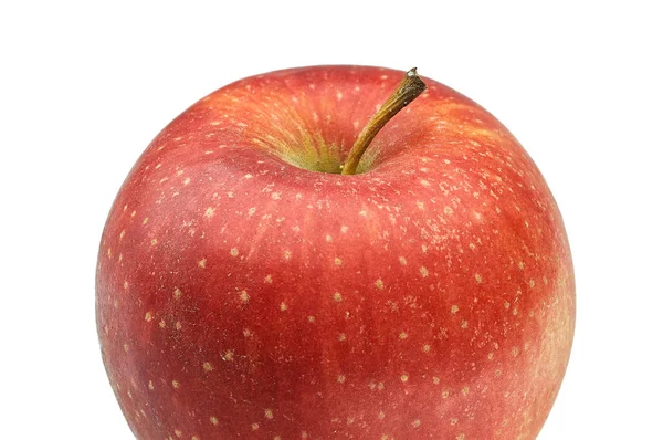 흰색 배경에 큰 신선한 잘 익은 빨간 사과 — 스톡 사진