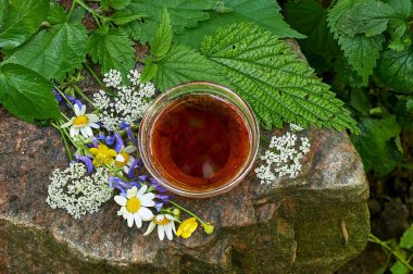 orman otlar ve çiçeklerden tıbbi içecek