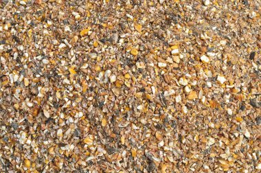 Çiftlik hayvanları ve kuş yemi için ezilmiş tohum ve tahıl karışımının arka plan dokusu