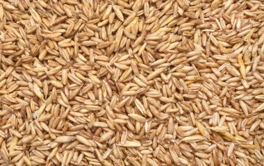 Çiftlik hayvanları ve kuş yemi için ezilmiş tohum ve tahıl karışımının arka plan dokusu