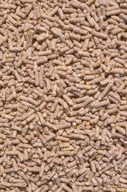 Background texture of crushed seed and grain mix for livestock and bird feed clipart