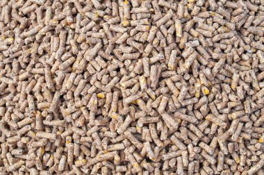 Çiftlik hayvanları ve kuş yemi için ezilmiş tohum ve tahıl karışımının arka plan dokusu