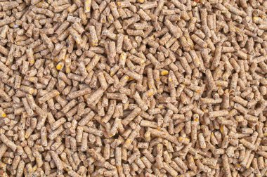 Çiftlik hayvanları ve kuş yemi için ezilmiş tohum ve tahıl karışımının arka plan dokusu