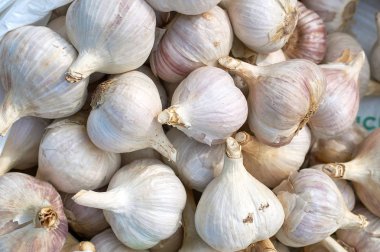 birçok sarımsak soğandoku yeni ürün