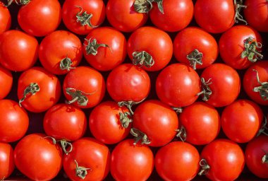 çok taze olgun kırmızı yuvarlak domates arka plan