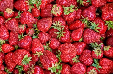 birçok taze olgun çilek çilek arka plan