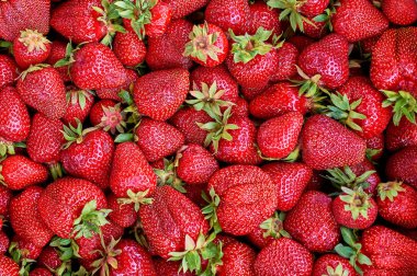 birçok taze olgun çilek çilek arka plan