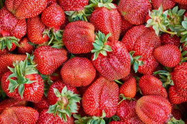 birçok taze olgun çilek çilek arka plan