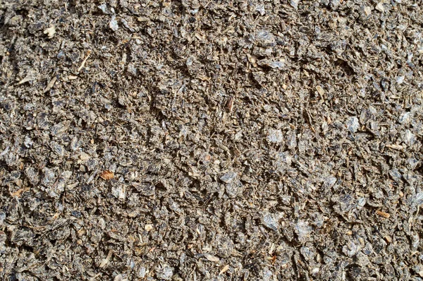 Textura de fondo de semillas trituradas y mezcla de granos para el ganado y la alimentación de aves — Foto de Stock