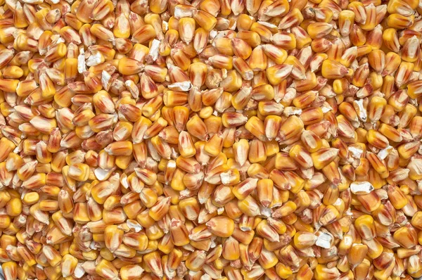 Background texture of crushed seed and grain mix for livestock and bird feed — Stock Photo, Image