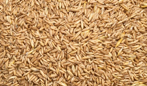 Background texture of crushed seed and grain mix for livestock and bird feed — Stock Photo, Image