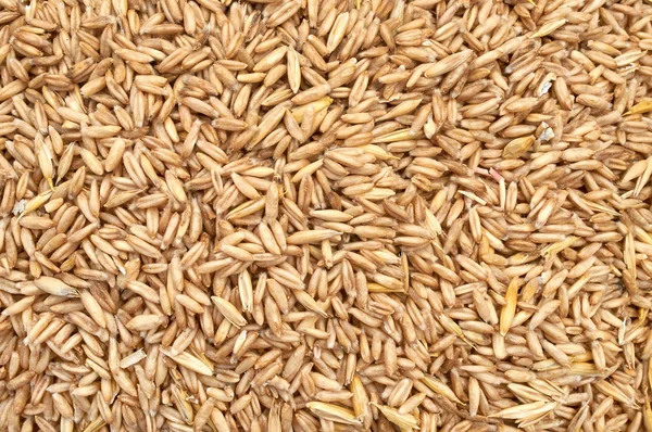 Background texture of crushed seed and grain mix for livestock and bird feed — Stock Photo, Image