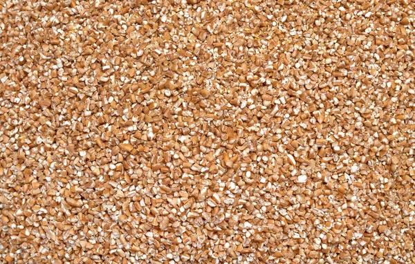 Textura de fundo de sementes trituradas e mistura de grãos para alimentação de animais e aves — Fotografia de Stock