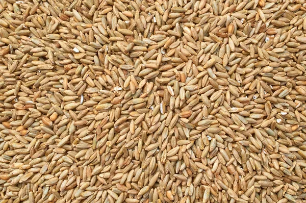 Background texture of crushed seed and grain mix for livestock and bird feed — Stock Photo, Image