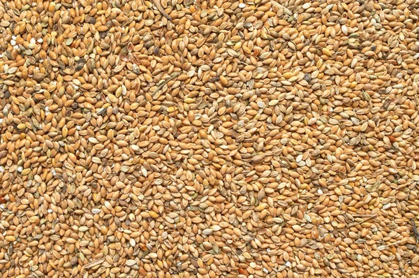 Background texture of crushed seed and grain mix for livestock and bird feed — Stock Photo, Image