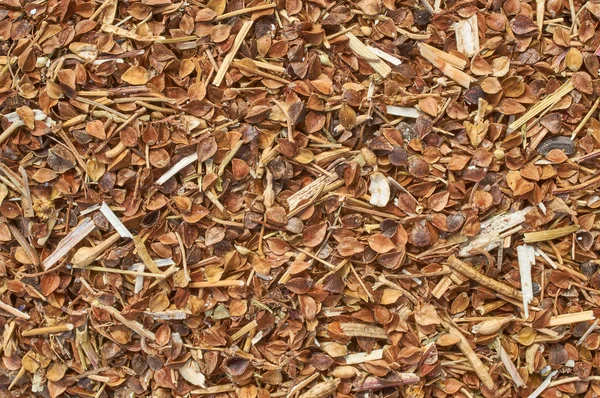 Background texture of crushed seed and grain mix for livestock and bird feed — Stock Photo, Image