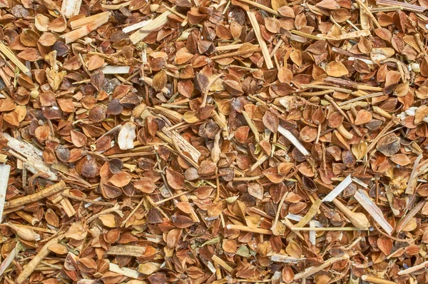 Background texture of crushed seed and grain mix for livestock and bird feed — Stock Photo, Image