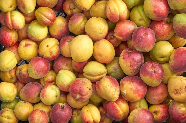 Many orange apricot berries new crop texture — Stock Photo, Image