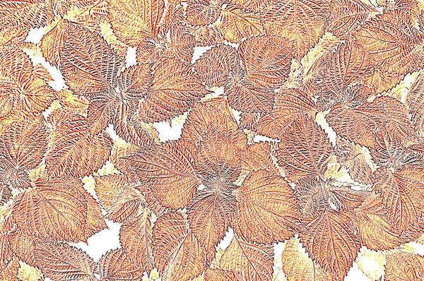 leaves plants illustration texture abstraction wallpaper
