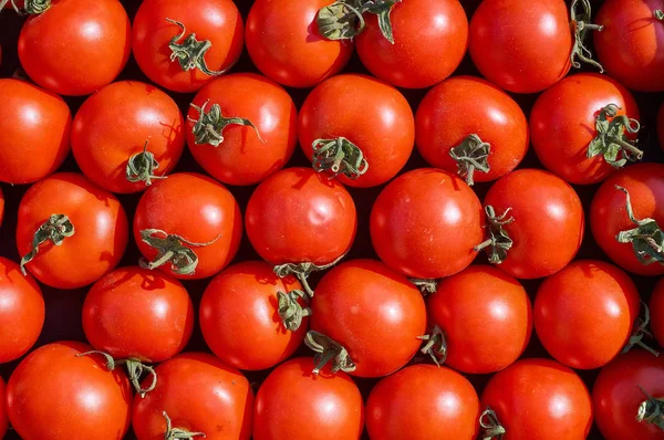 Veel verse rijpe rode ronde tomaat achtergrond — Stockfoto