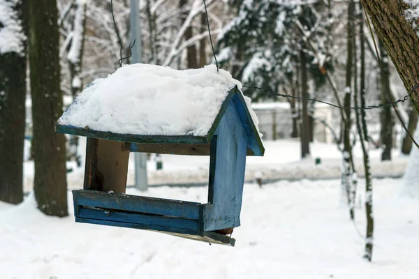 In the winter forest on the tree hangs a bird feeder.