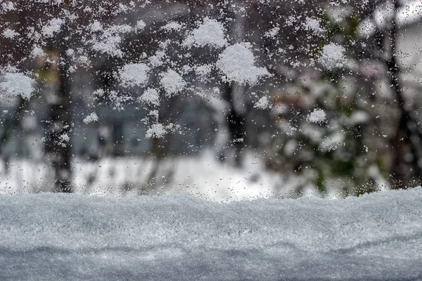 Blick aus dem Fenster im Winter. — Stockfoto