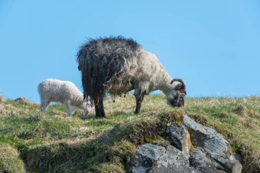 Anne o ve bebeği üst kayalık tepede durmak