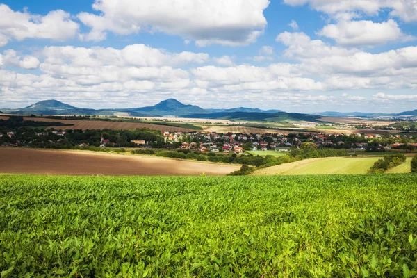 Green Field Blue Sky Light Clouds — Stock Photo, Image