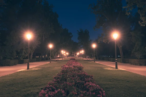 Weg Naar Het Park Nachts — Stockfoto