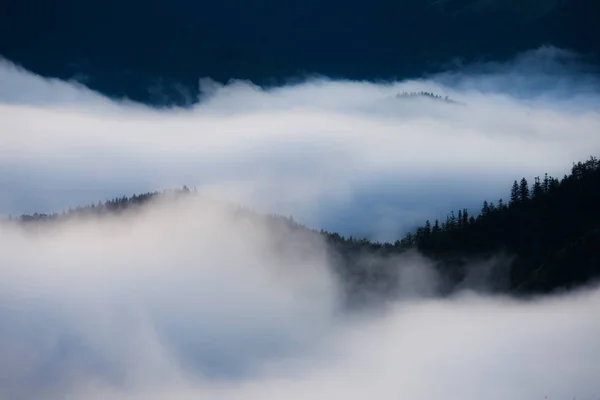 Sunrise Foggy Smoky Mountain National Park Panoramic Landscape — Stock Photo, Image