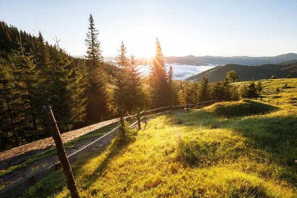 Sonnenaufgang Bei Nebliger Berglandschaft — Stockfoto