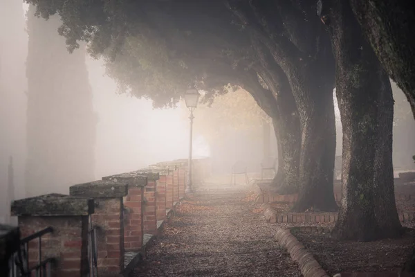 Foggy Matin Parc Ville Vue Sur Arbre Allée — Photo