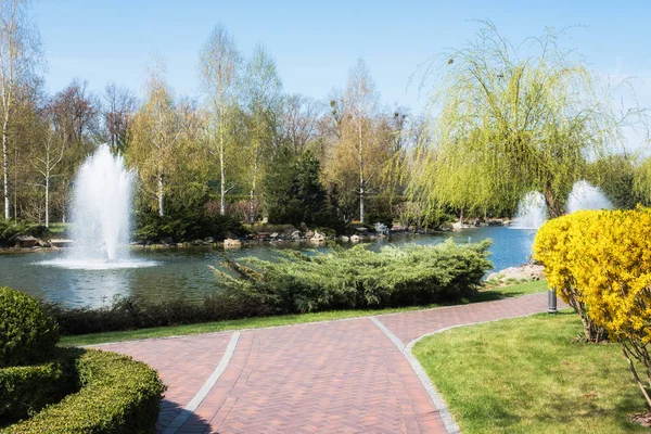 公园里湖上的喷泉 — 图库照片
