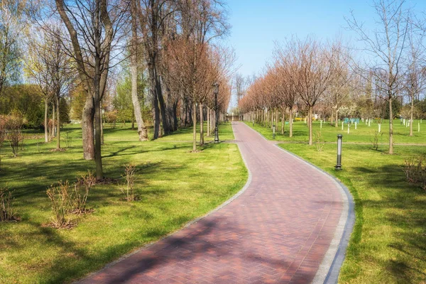 Verde Primavera Soleado Parque Ciudad Con Carretera Hermosos Árboles Callejón —  Fotos de Stock