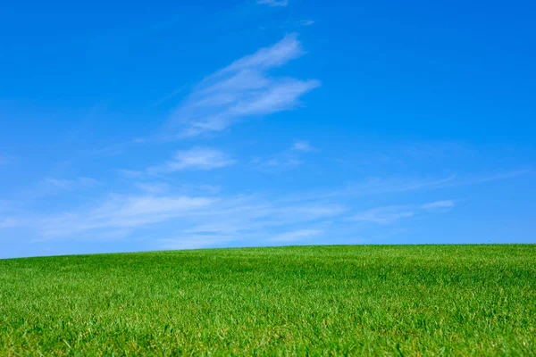 Зображення Зеленого Трав Яного Поля Яскраво Синього Фону Неба — стокове фото