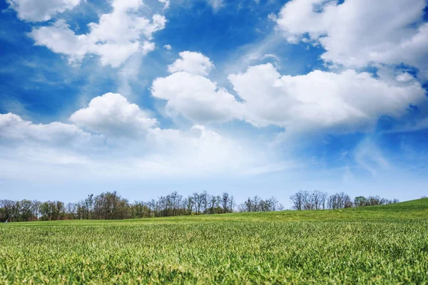 Verde Primavera Soleggiato Parco Della Città Con Bella Erba Verde — Foto Stock