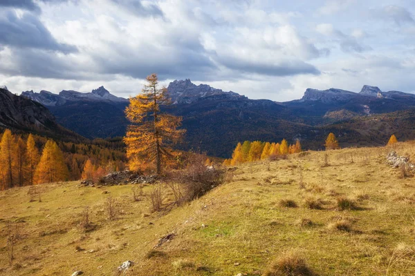 Otoño Hermoso Paisaje Con Árboles Montaña Amarillos Val Gardena Dolomitas — Foto de Stock