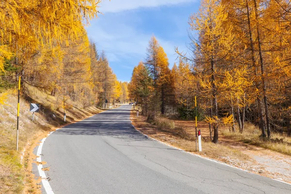 Φθινόπωρο Όμορφο Τοπίο Ορεινό Και Κίτρινα Δέντρα Val Gardena Δολομίτες — Φωτογραφία Αρχείου