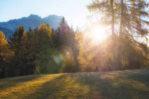 Magnífica Vista Soleada Los Alpes Dolomitas Con Alerces Amarillos Colorido — Foto de Stock