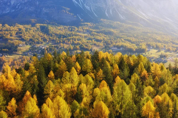 Gorgeous Sunny View Dolomite Alps Yellow Larch Trees Colorful Autumn — Stock Photo, Image