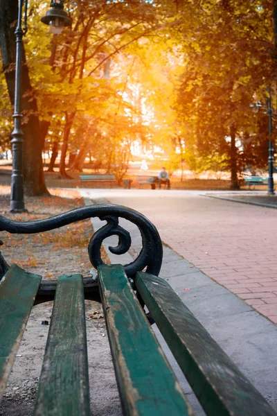 秋天城市公园 老木凳在公园秋天颜色胡同 — 图库照片